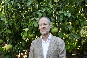 Aurelio Major